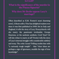 The Day x Connell Guides - The Connell Short Guide to E.M. Forster's A Room with a View