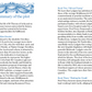 The Day x Connell Guides - The Connell Guide to George Eliot's Middlemarch