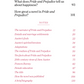 The Day x Connell Guides - The Connell Guide to Jane Austen's Pride and Prejudice