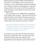 The Day x Connell Guides - The Connell Short Guide to Sebastian Faulks' Birdsong